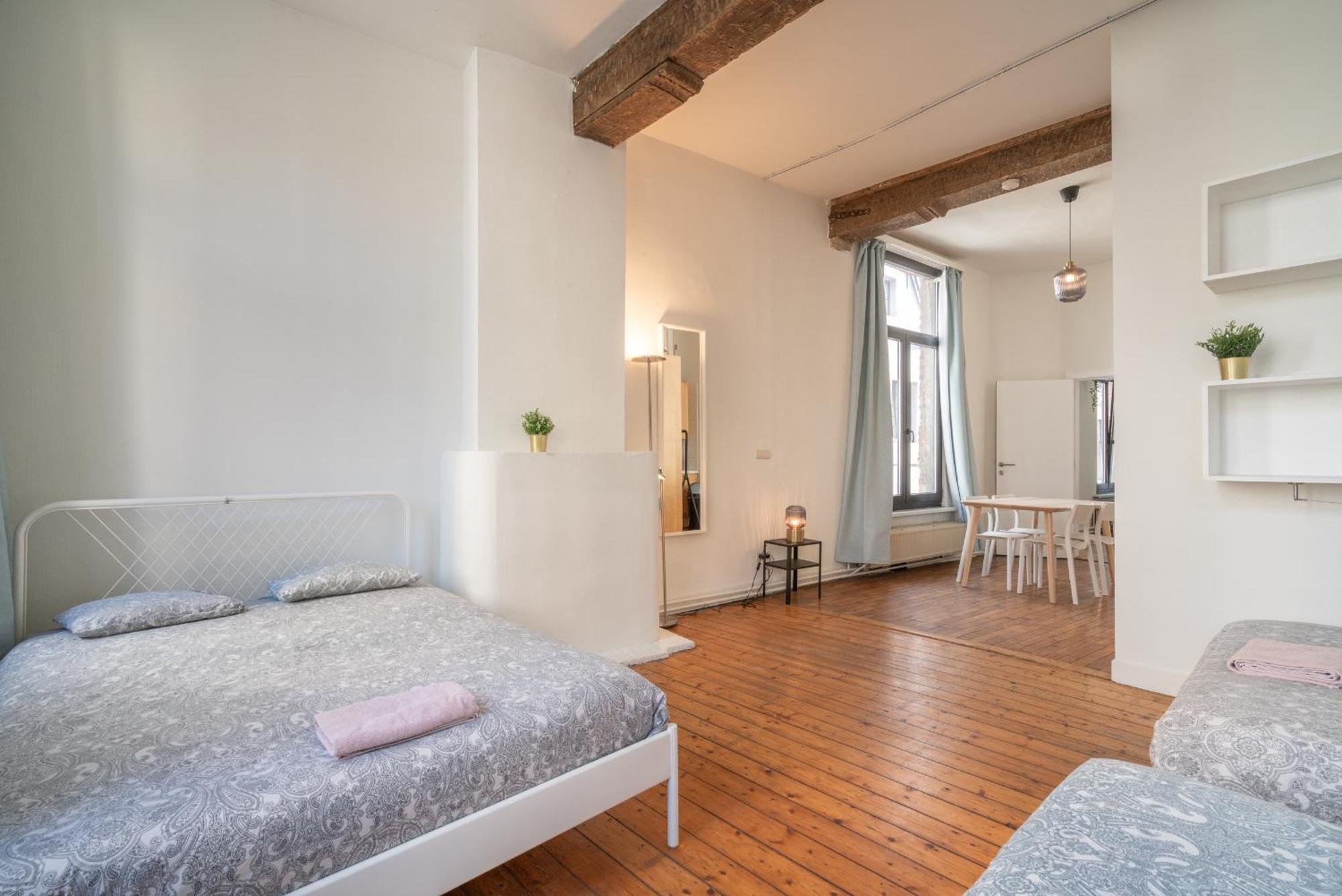 Authentic Apartments In The Center Of アントウェルペン エクステリア 写真