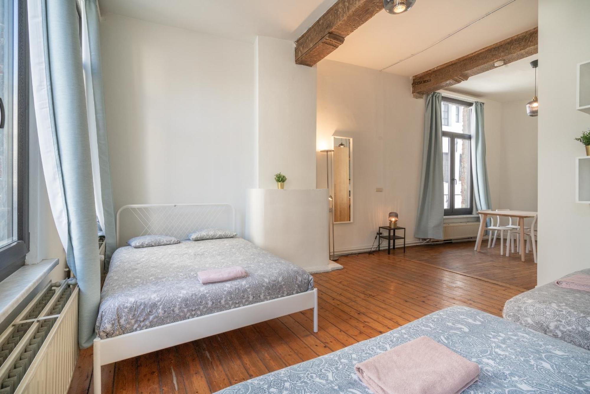 Authentic Apartments In The Center Of アントウェルペン エクステリア 写真