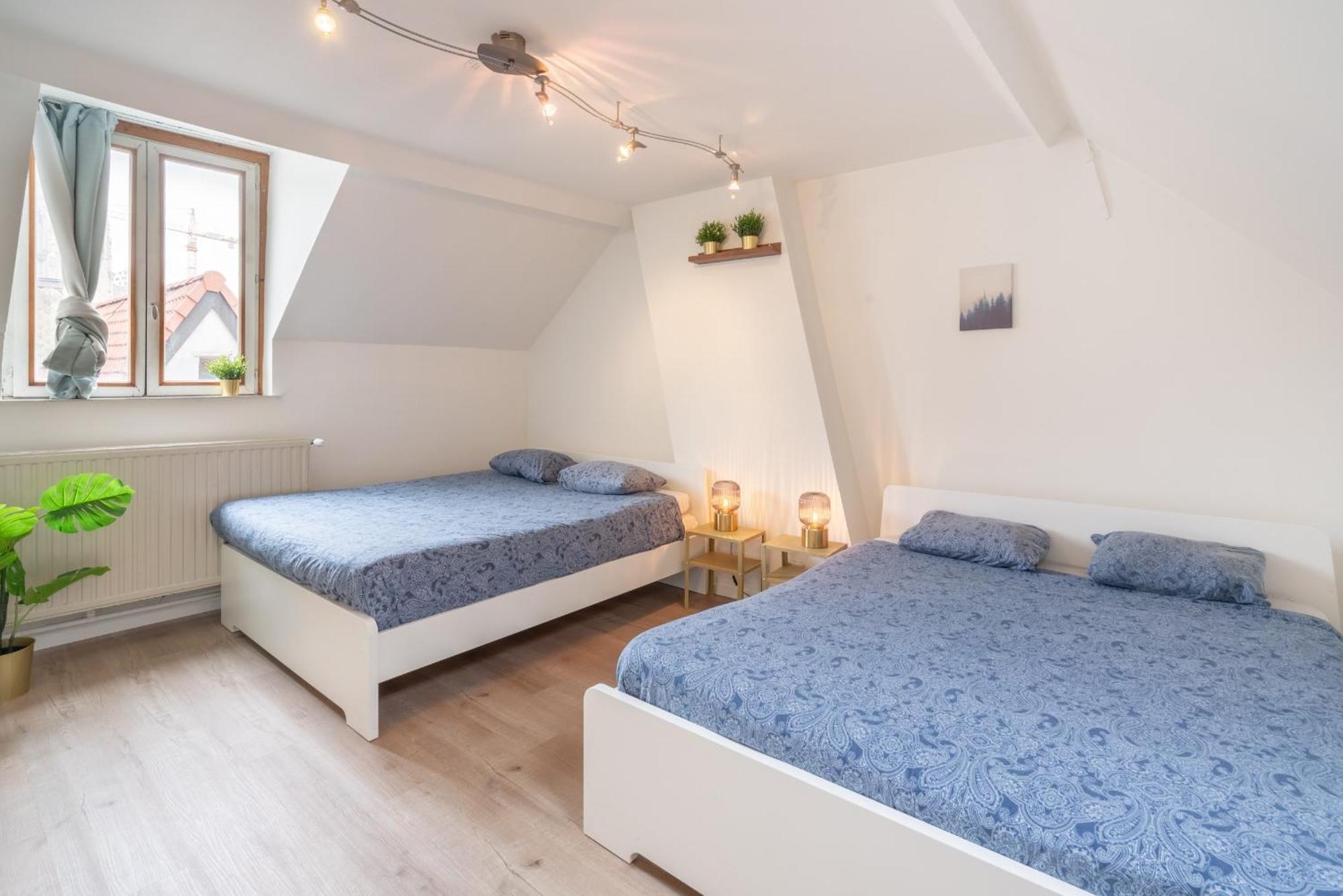 Authentic Apartments In The Center Of アントウェルペン エクステリア 写真