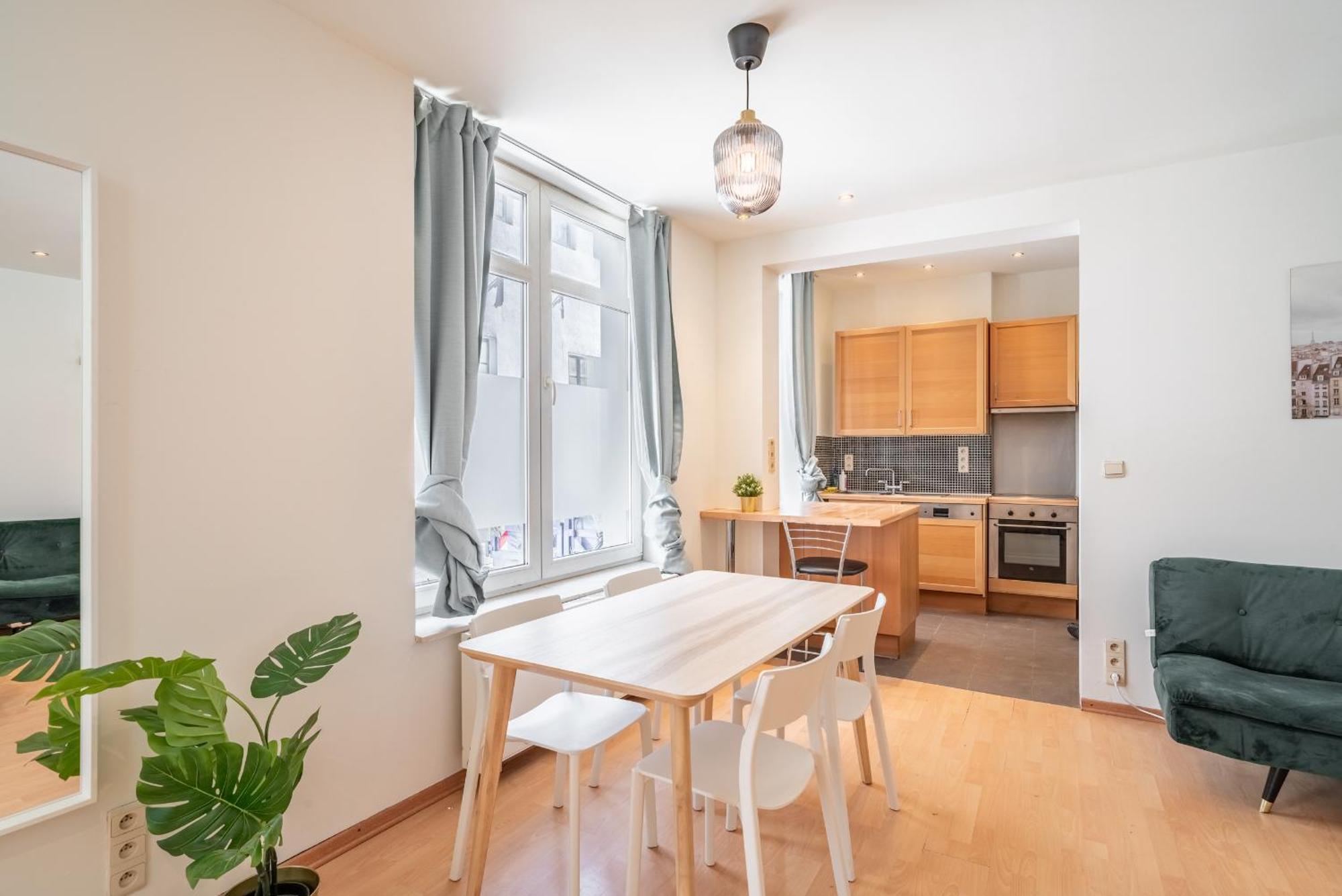 Authentic Apartments In The Center Of アントウェルペン エクステリア 写真